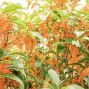 ヒメ日記 2025/10/16 23:05 投稿 やまと 奥鉄オクテツ奈良