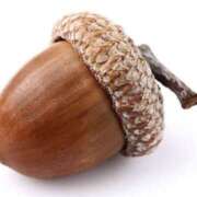 ヒメ日記 2025/10/24 13:30 投稿 やまと 奥鉄オクテツ奈良