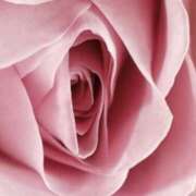 ヒメ日記 2025/10/26 15:50 投稿 やまと 奥鉄オクテツ奈良