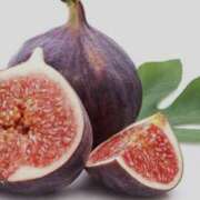 ヒメ日記 2025/10/29 13:05 投稿 やまと 奥鉄オクテツ奈良