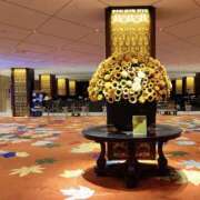 ヒメ日記 2025/11/10 11:20 投稿 やまと 奥鉄オクテツ奈良