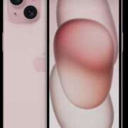 ヒメ日記 2025/12/10 11:00 投稿 やまと 奥鉄オクテツ奈良