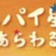 ヒメ日記 2025/12/23 09:50 投稿 やまと 奥鉄オクテツ奈良