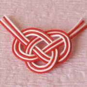 ヒメ日記 2025/12/28 10:50 投稿 やまと 奥鉄オクテツ奈良