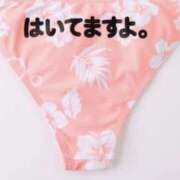 ヒメ日記 2026/02/01 10:45 投稿 やまと 奥鉄オクテツ奈良