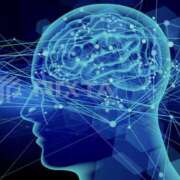 ヒメ日記 2026/02/09 10:10 投稿 やまと 奥鉄オクテツ奈良