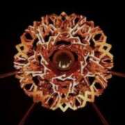 ヒメ日記 2026/02/23 14:40 投稿 やまと 奥鉄オクテツ奈良