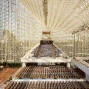 ヒメ日記 2026/03/10 10:40 投稿 やまと 奥鉄オクテツ奈良