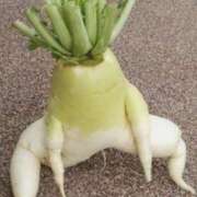 ヒメ日記 2026/03/21 10:10 投稿 やまと 奥鉄オクテツ奈良