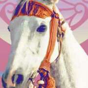 ヒメ日記 2026/03/26 10:30 投稿 やまと 奥鉄オクテツ奈良