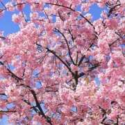 ヒメ日記 2026/04/05 15:30 投稿 やまと 奥鉄オクテツ奈良