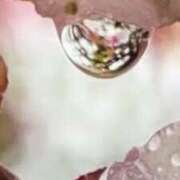 やまと これからも 奥鉄オクテツ奈良