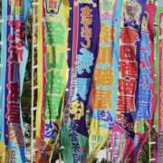 ヒメ日記 2026/05/11 10:10 投稿 やまと 奥鉄オクテツ奈良