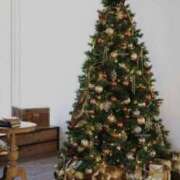 ヒメ日記 2024/12/24 09:50 投稿 やまと 奥鉄オクテツ兵庫