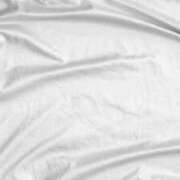 ヒメ日記 2025/01/12 10:10 投稿 やまと 奥鉄オクテツ兵庫