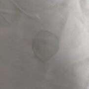 ヒメ日記 2025/01/13 09:10 投稿 やまと 奥鉄オクテツ兵庫