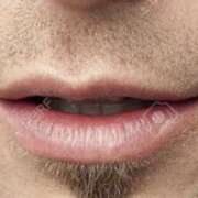 ヒメ日記 2025/01/19 10:15 投稿 やまと 奥鉄オクテツ兵庫