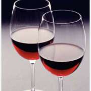 ヒメ日記 2025/02/01 10:15 投稿 やまと 奥鉄オクテツ兵庫