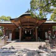 ヒメ日記 2025/02/28 17:50 投稿 やまと 奥鉄オクテツ兵庫