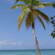 ヒメ日記 2025/03/08 17:40 投稿 やまと 奥鉄オクテツ兵庫