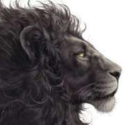 ヒメ日記 2025/03/13 10:30 投稿 やまと 奥鉄オクテツ兵庫