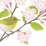 ヒメ日記 2025/03/24 10:15 投稿 やまと 奥鉄オクテツ兵庫