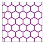 ヒメ日記 2025/04/03 10:00 投稿 やまと 奥鉄オクテツ兵庫