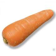 ヒメ日記 2025/04/08 16:10 投稿 やまと 奥鉄オクテツ兵庫