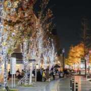 ヒメ日記 2025/04/16 17:30 投稿 やまと 奥鉄オクテツ兵庫