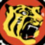 ヒメ日記 2025/04/26 13:40 投稿 やまと 奥鉄オクテツ兵庫