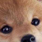 ヒメ日記 2025/05/22 20:05 投稿 やまと 奥鉄オクテツ兵庫