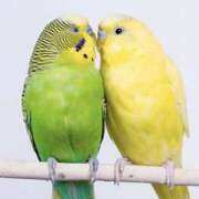 ヒメ日記 2025/06/09 10:20 投稿 やまと 奥鉄オクテツ兵庫