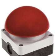 ヒメ日記 2025/06/11 10:20 投稿 やまと 奥鉄オクテツ兵庫