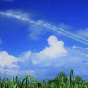 ヒメ日記 2025/08/01 10:40 投稿 やまと 奥鉄オクテツ兵庫