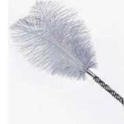 ヒメ日記 2025/09/01 10:15 投稿 やまと 奥鉄オクテツ兵庫