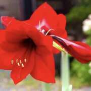 ヒメ日記 2025/10/02 11:00 投稿 やまと 奥鉄オクテツ兵庫