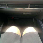 ヒメ日記 2025/10/18 13:15 投稿 やまと 奥鉄オクテツ兵庫