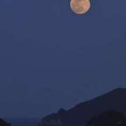 ヒメ日記 2025/10/18 23:15 投稿 やまと 奥鉄オクテツ兵庫