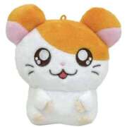 ヒメ日記 2025/10/20 02:10 投稿 やまと 奥鉄オクテツ兵庫