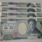 ヒメ日記 2025/11/17 06:45 投稿 やまと 奥鉄オクテツ兵庫