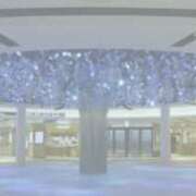 ヒメ日記 2025/11/24 14:10 投稿 やまと 奥鉄オクテツ兵庫