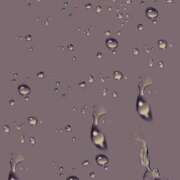 ヒメ日記 2026/02/13 09:10 投稿 やまと 奥鉄オクテツ兵庫