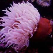 ヒメ日記 2026/02/25 11:00 投稿 やまと 奥鉄オクテツ兵庫