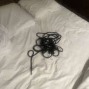 ヒメ日記 2026/03/25 09:20 投稿 やまと 奥鉄オクテツ兵庫