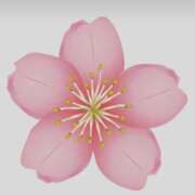 ヒメ日記 2026/03/26 12:55 投稿 やまと 奥鉄オクテツ兵庫