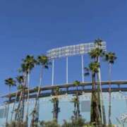 ヒメ日記 2026/03/27 10:20 投稿 やまと 奥鉄オクテツ兵庫