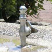 ヒメ日記 2026/03/31 09:50 投稿 やまと 奥鉄オクテツ兵庫