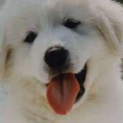 ヒメ日記 2026/04/01 11:00 投稿 やまと 奥鉄オクテツ兵庫