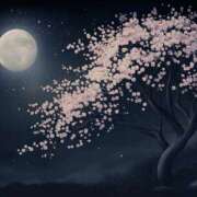 ヒメ日記 2026/04/02 11:20 投稿 やまと 奥鉄オクテツ兵庫