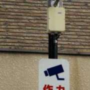 ヒメ日記 2026/06/15 08:45 投稿 やまと 奥鉄オクテツ兵庫